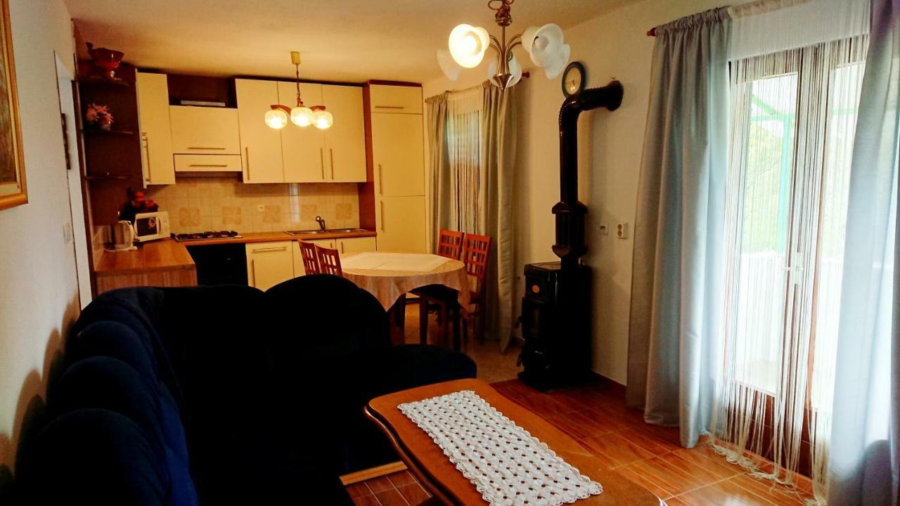 Apartments Rogocana Лабин Екстер'єр фото